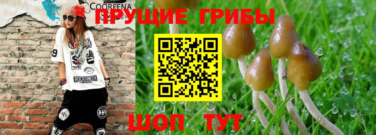Псилоцибиновые грибы Psilocybine cubensis  Галлюциногенные грибы Psilocybine cubensis  где найти наркотики  Минеральные Воды  Вход с VPN 