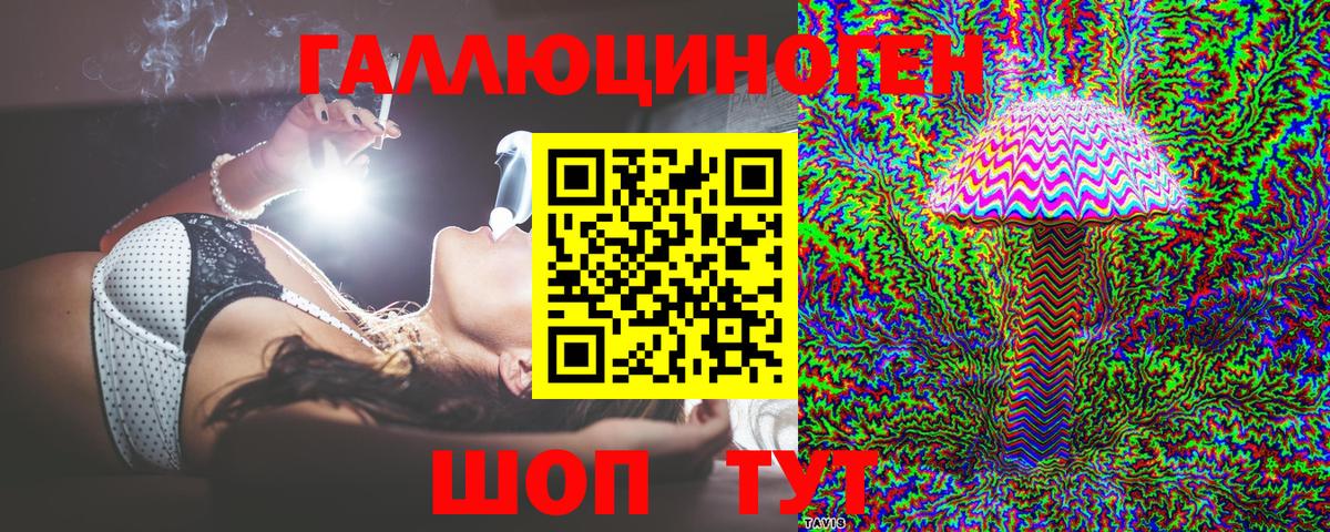 Псилоцибиновые грибы Psilocybine cubensis Минеральные Воды